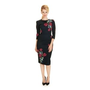 WANTED!!! Pretty Dress Company Madrid Rose UK10 S